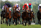 Sporting Events Sporting Events